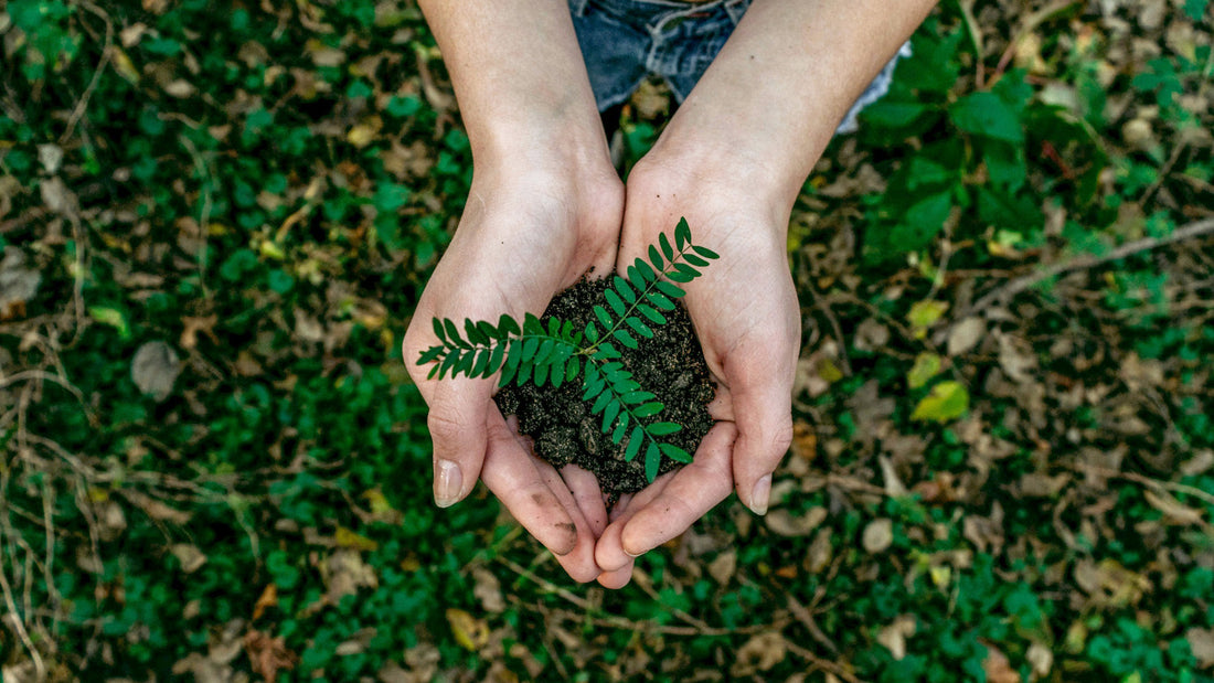 Green Mission