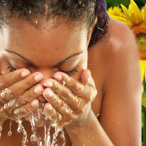 Sunflower Oil Facial Wash for Winter Skin