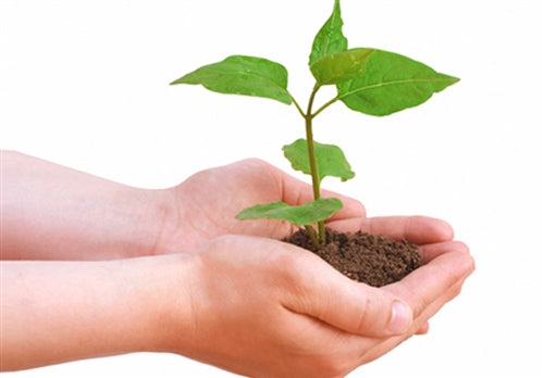Green Mission